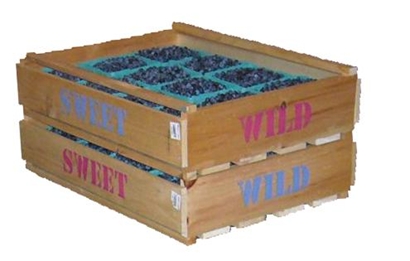 Blueberry Crates